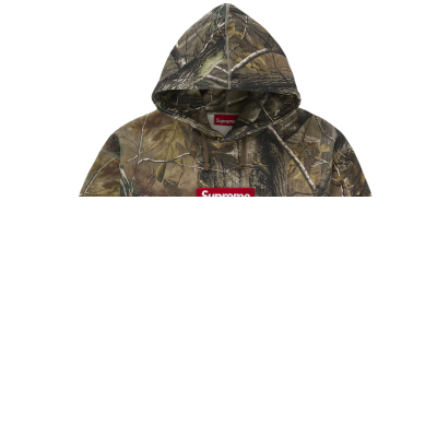 Supreme Box Logo Hooded Sweatshirt (FW25) Realtree AP Camo