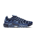 Nike Air Max Plus Obsidian Aluminum