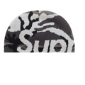 Supreme Camo Big Logo Beanie Snow Camo