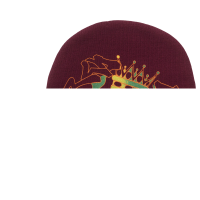 Supreme New World Order Beanie Cardinal